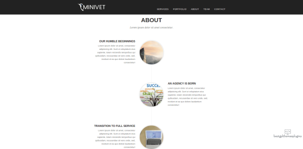 Minivet One Page WordPress Theme 1