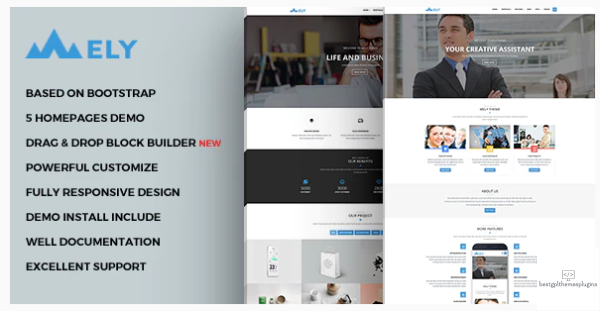 Mely Responsive Business Drupal Theme