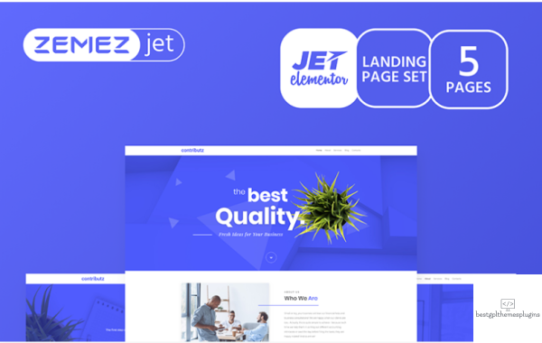 Wizarro Business Consulting Jet Elementor Template