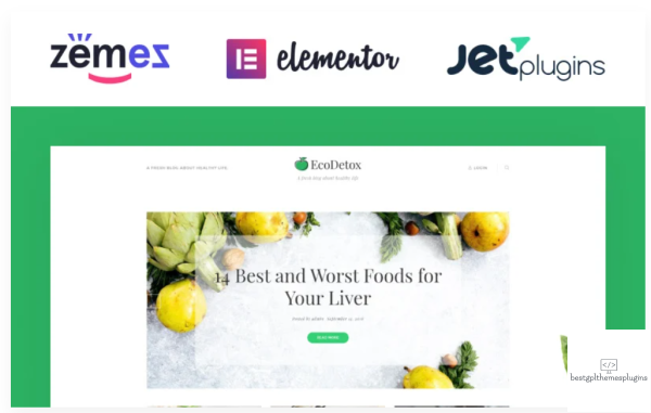 EcoDex Fresh Food Blog Website For Healthy Lifestyle WordPress Theme 1