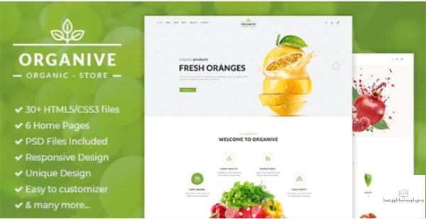 Organive Organic Store Eco Food Products HTML5 Template