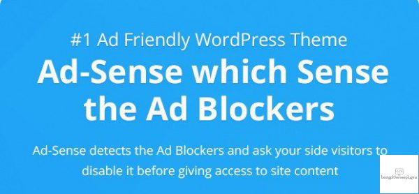 WordPress Theme Which Detects Adblockers