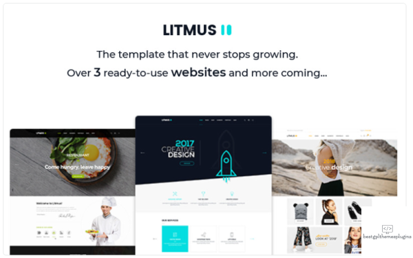 Litmus Creative Multipurpose Website Template