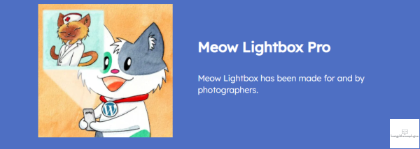 Meow %E2%80%93 Meow Lightbox Pro