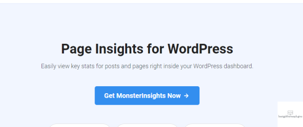 MonsterInsights Page Insights Addon 1