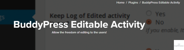 BuddyPress Editable Activity