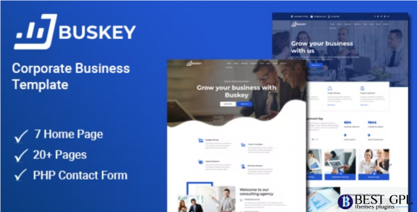 Buskey Business Consulting and Corporate Template