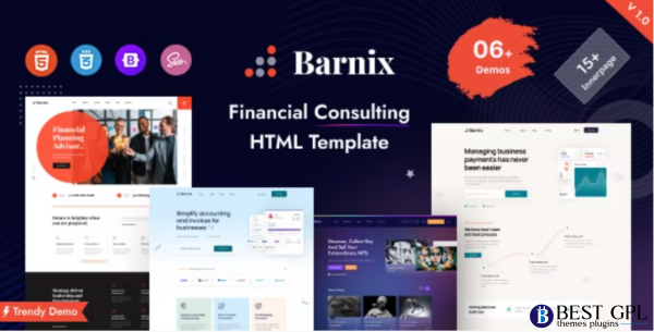 Barnix Business Financial HTML Template