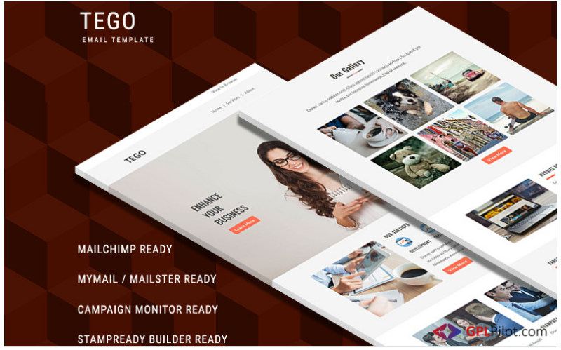 Tego - Responsive Email Template Newsletter Template