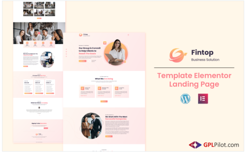 Fintop - Digital Business Solution Elementor Template(m)