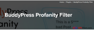 BuddyPress Profanity Filter 1.2.1