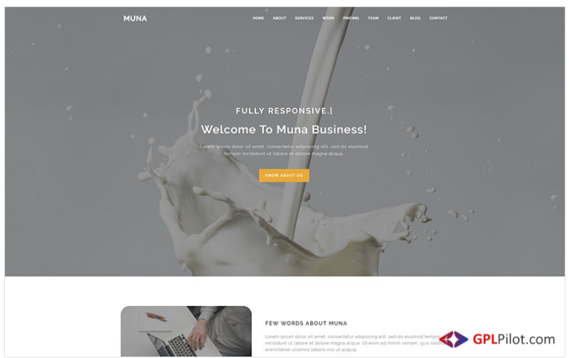 Muna - Business Landing Page Template