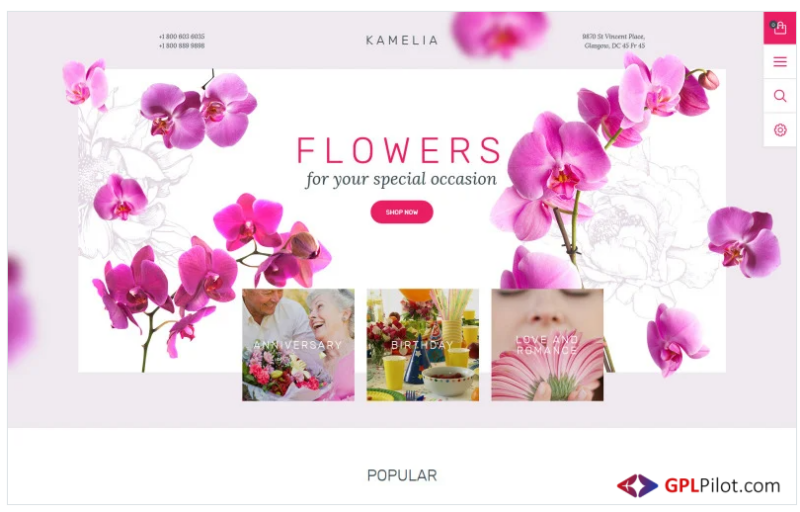 Kamelia PrestaShop Theme