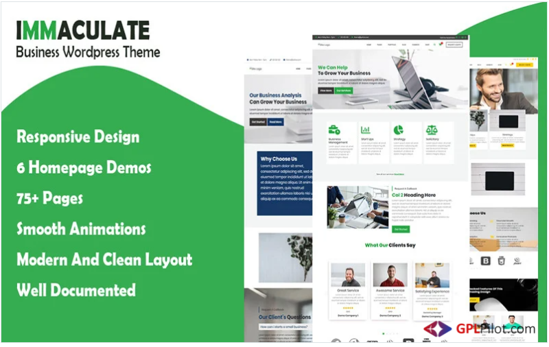 Immaculate Business - Multipurpose Consulting Wordpress Theme