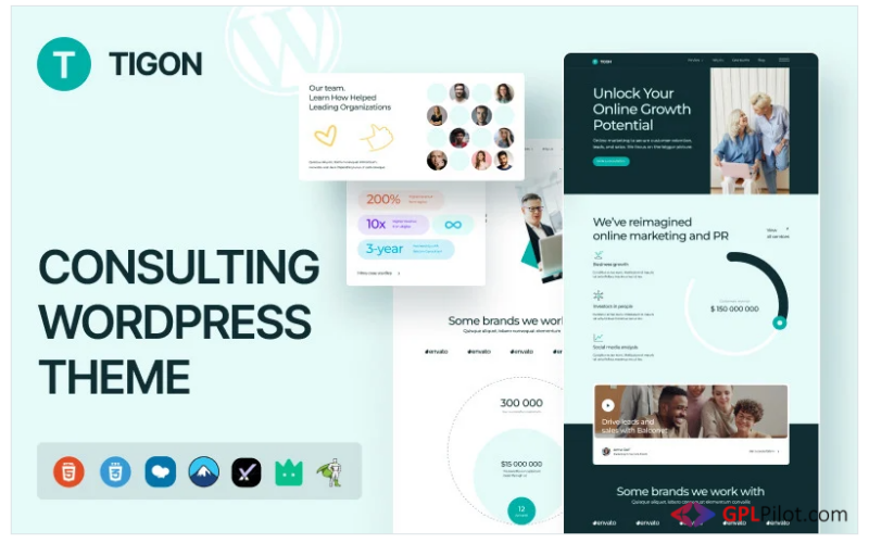 Tigon Consulting WordPress Theme