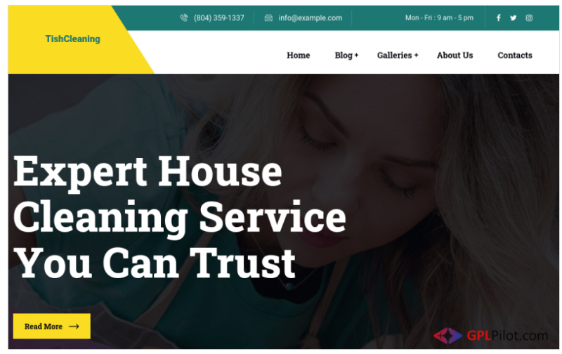 TishCleaning - Cleaning Services WordPress Theme