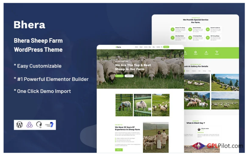 Bhera - Sheep Farm Responsive WordPress Theme