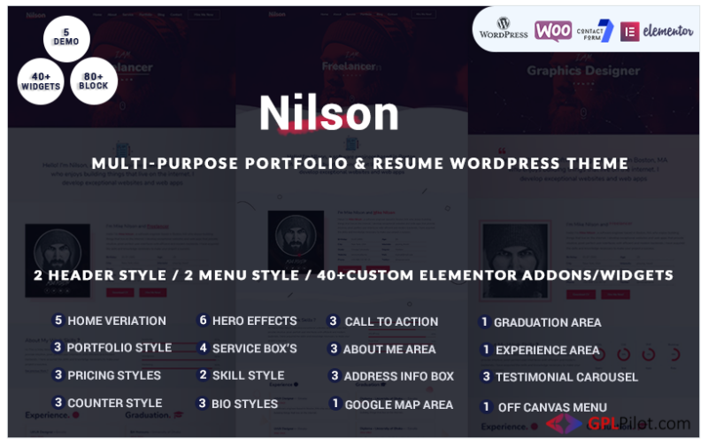 Nilson - Multipurpose Personal Portfolio Resume WordPress Theme