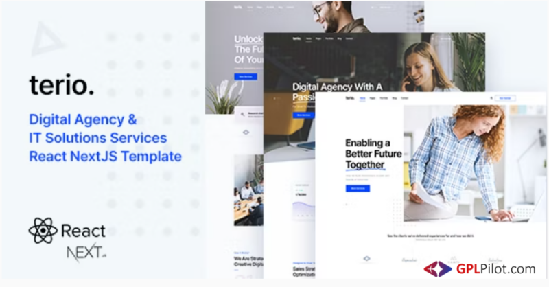 Terio - Digital Agency & IT Services React NextJS