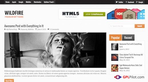 MyThemeShop Wildfire WordPress Theme 1.1.3 1 MyThemeShop Wildfire WordPress Theme 1.1.3