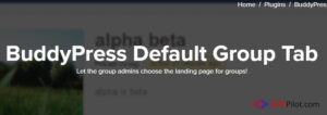 BuddyPress Default Group Tab 1.0.5