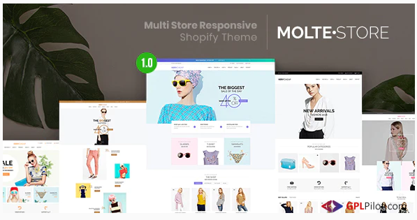 MolteStore - Multi Store Responsive Shopify Theme 1 MolteStore - Multi Store Responsive Shopify Theme