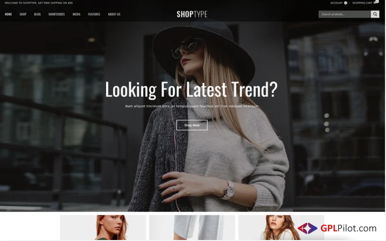 ShopType - Fashion Store WooCommerce Theme