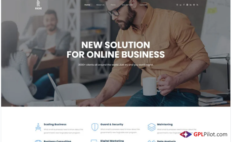 Roche - Business Consulting WordPress Theme