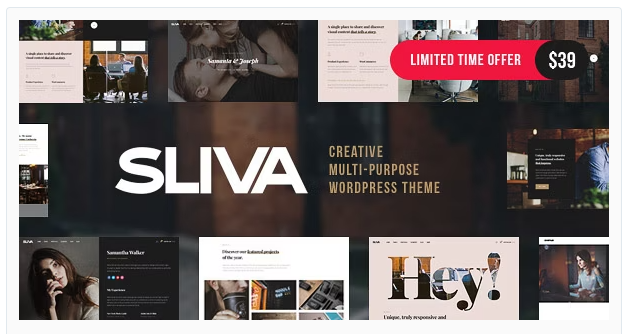Sliva - Responsive Multi-Purpose Theme 1 Sliva - Responsive Multi-Purpose Theme
