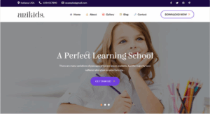 UniKids Pro - Unique and Modern Kids WordPress Theme