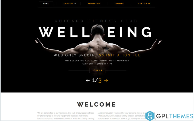 Wellbeing Website Template