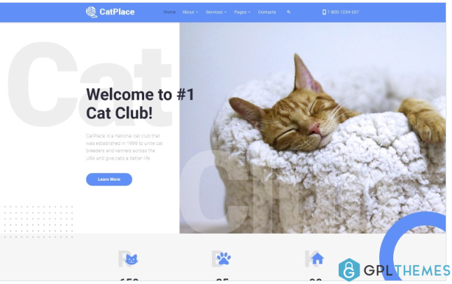 Cat Place – Animals & Pets Multipage HTML Website Template
