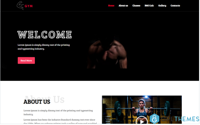 Fitness –Ready-to-Use Clean Bootstrap HTML Website Template