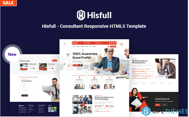 Hisfull – Consultant Responsive HTML5 Website Template