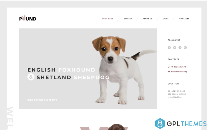 Pound – Free Animal Care Responsive Website Template