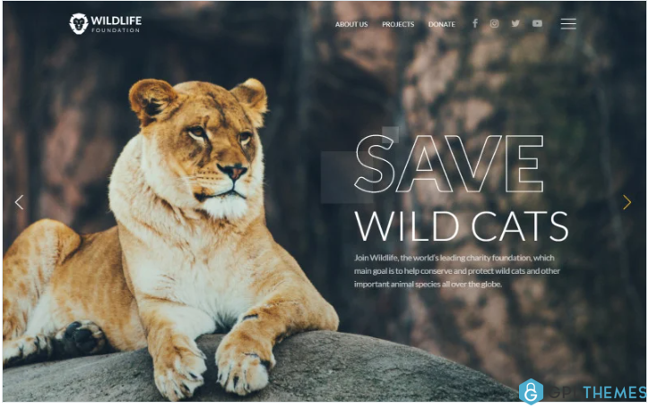 WildLife – Wild Life Multipage Creative HTML Website Template