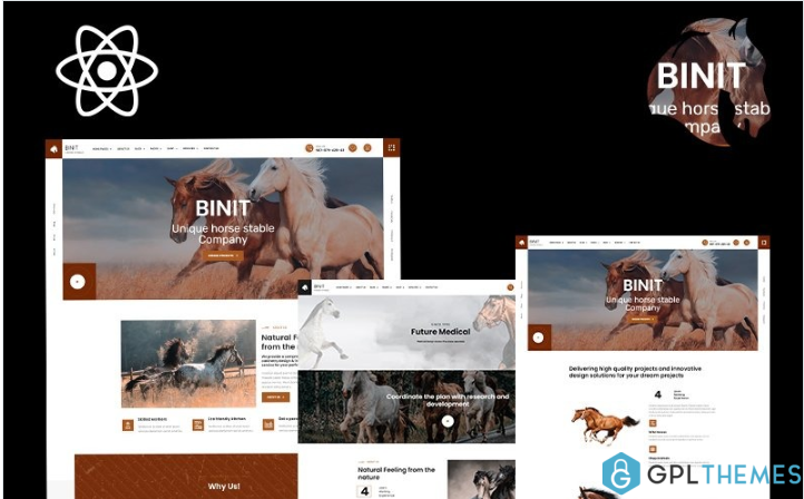 Binit Animals and Horse Сlub React Template