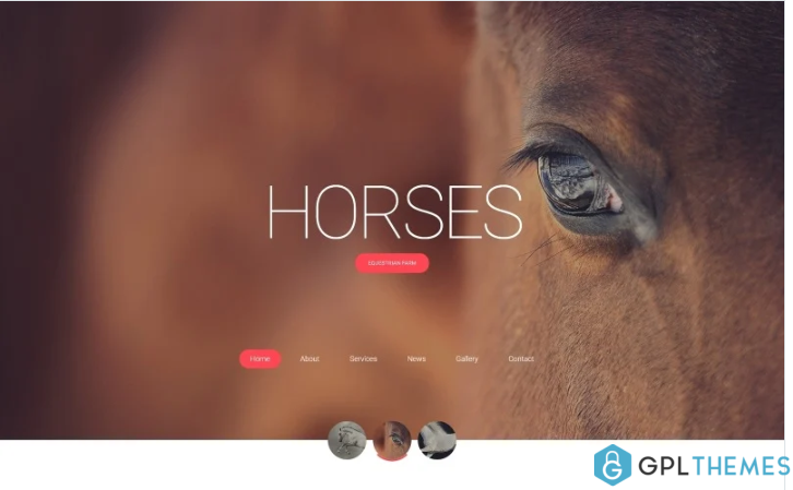 Horses – Horse Responsive Creative HTML Website Template