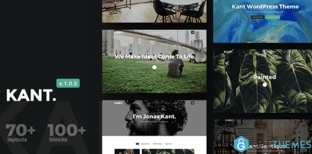 Kant A Multipurpose WordPress Theme for Startups