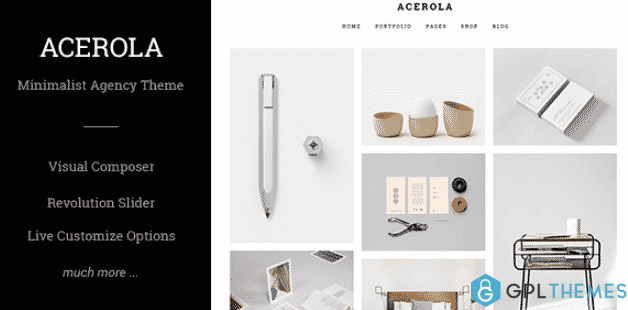 Acerola Ultra Minimalist Agency WordPress Theme