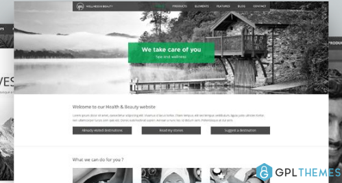 AIT Spa WordPress Theme 1