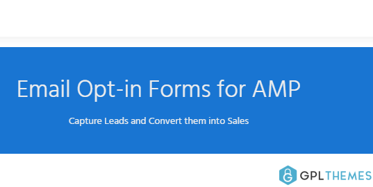 Email Opt in Forms for AMP