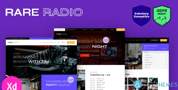 Rare Radio Online Music Radio Station Podcast WordPress Theme