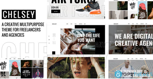 Chelsey Portfolio Theme for Freelancers and Agencies