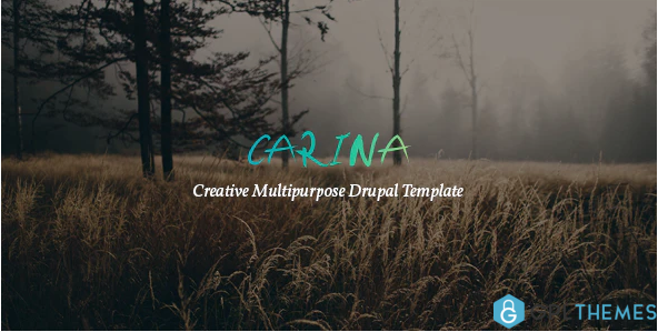 Carina Creative Multipurpose Drupal 8.6 Theme