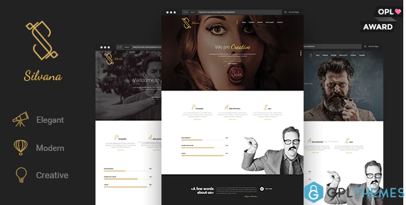 Silvana Agency Unbounce Landing Page