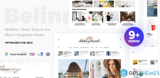 Belinni Multi Concept Blog Magazine WordPress