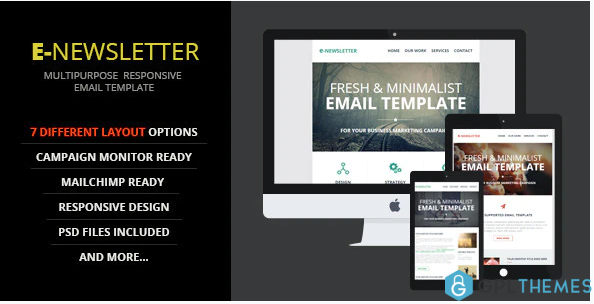 E Newsletter Multipurpose Email Template 1