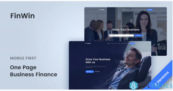 FinWin One Page Business Finance Template