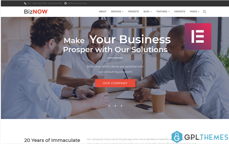 Biznow Business Consulting Elementor WordPress Theme